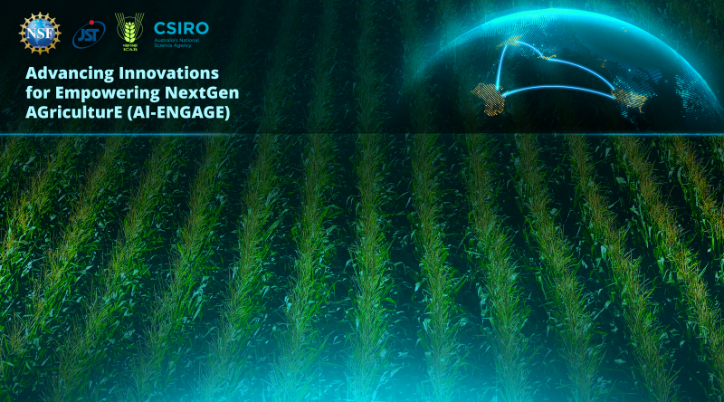 View of green crop fields with a glowing digital globe
