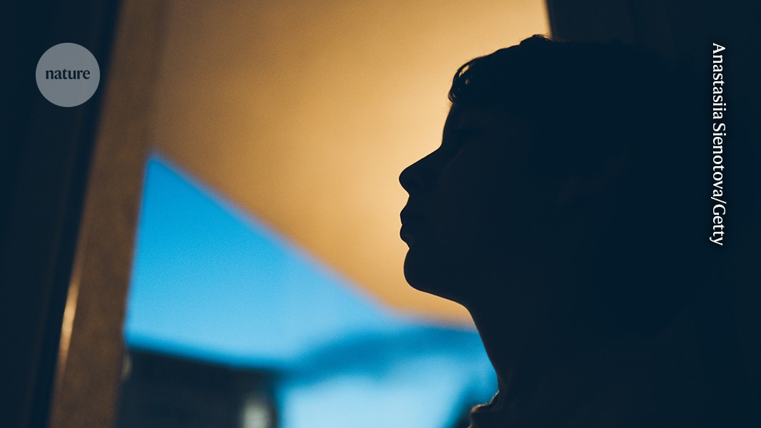 A person in silhouette looking out of a window during twilight. The background shows a gradient sky transitioning from blue to warm orange.