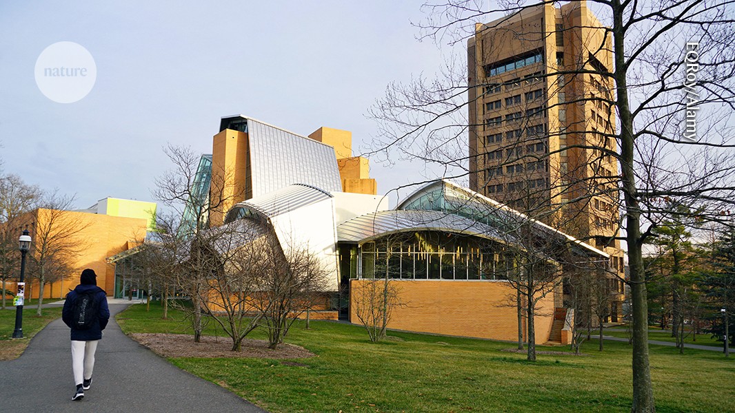 NSF puts new research grants to top universities on hold