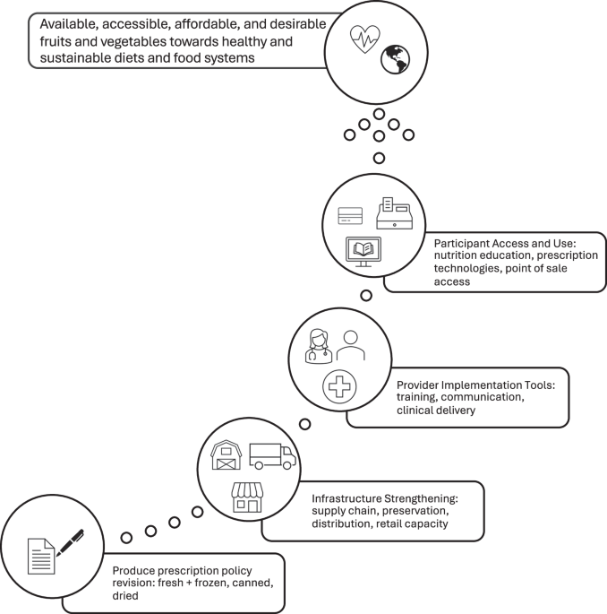 Strategy for transforming food systems through produce prescription policy revision.