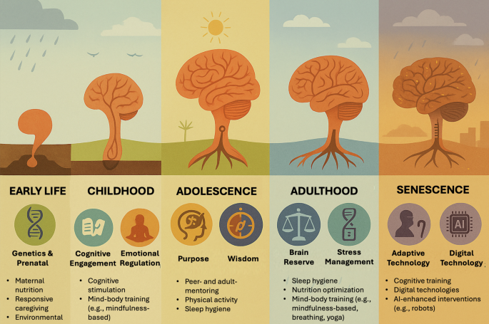 Conceptual illustration of brain health and resilience across five life stages, showing age-specific interventions and biological, psychological, social, technological and environmental influences.
